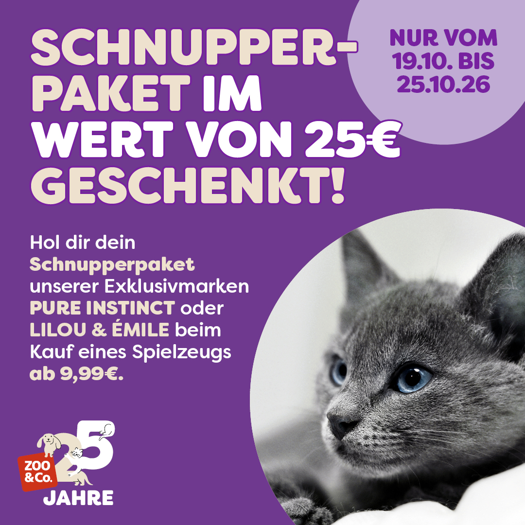 Entdecke die Spielzeugaktion!