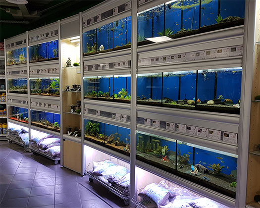 Abteilung Aquaristik in Ettlingen